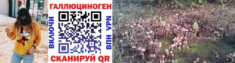 Галлюциногенные грибы MAGIC MUSHROOMS  магазин продажи наркотиков  Ленск 